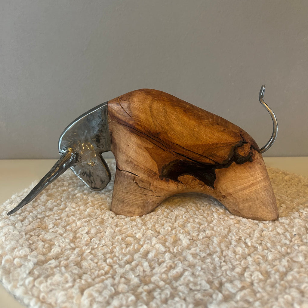 Leo Longhorn