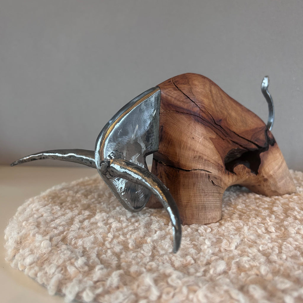 Leo Longhorn