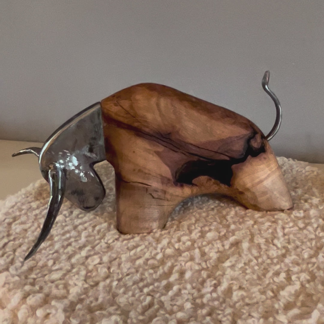 Leo Longhorn